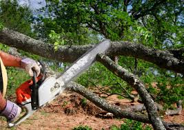 Best Lawn Grading and Leveling  in Tyler, TX